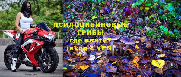 спайс Алзамай