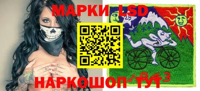 дмт Гатчина