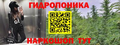 дмт Гатчина
