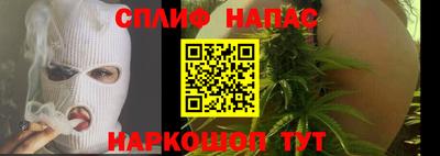 дмт Гатчина