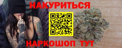 дмт Гатчина