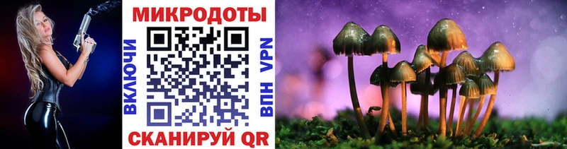 Галлюциногенные грибы Psilocybine cubensis  Новоуральск 