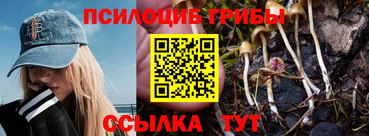 Новоуральск  Псилоцибиновые грибы прущие грибы  Вход с VPN 