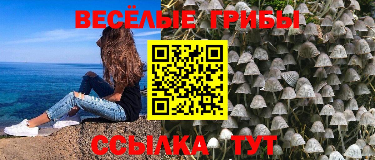 Псилоцибиновые грибы Magic Shrooms Новоуральск